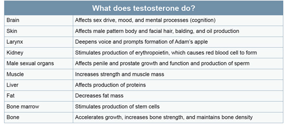 hormone testosterone